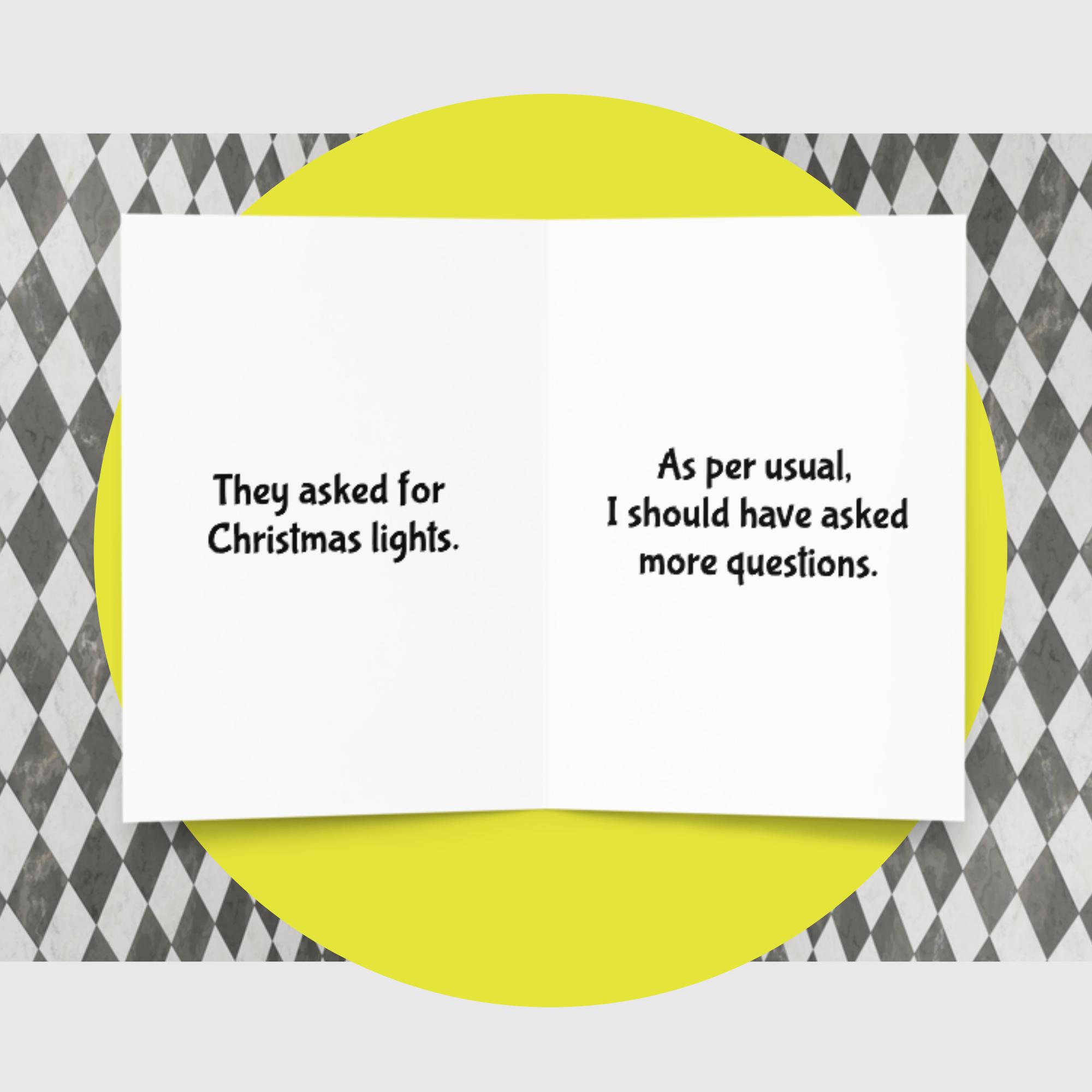 Asked For Christmas Lights....Wasn't Specific - Image 2